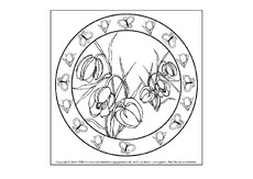 Tulpen-Mandala.pdf